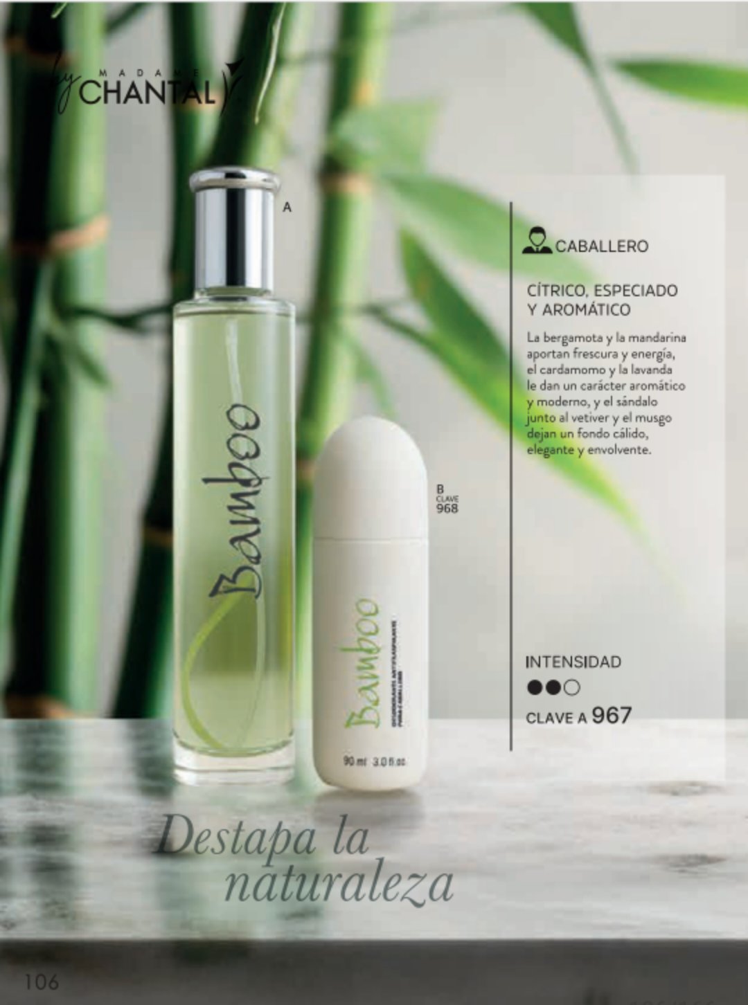 Bamboo